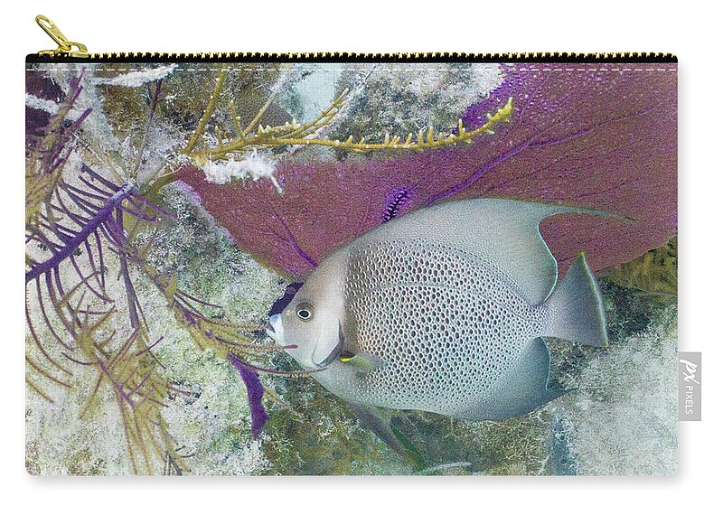 Animals Carry-all Pouch featuring the photograph Angelic by Lynne Browne