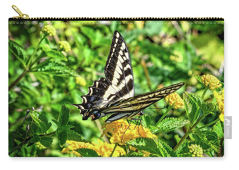 Anise Swallowtail Butterfly Zip Pouch featuring the photograph Anise Swallowtail Butterfly on a Yellow Lantana Flower by Abigail Diane Photography