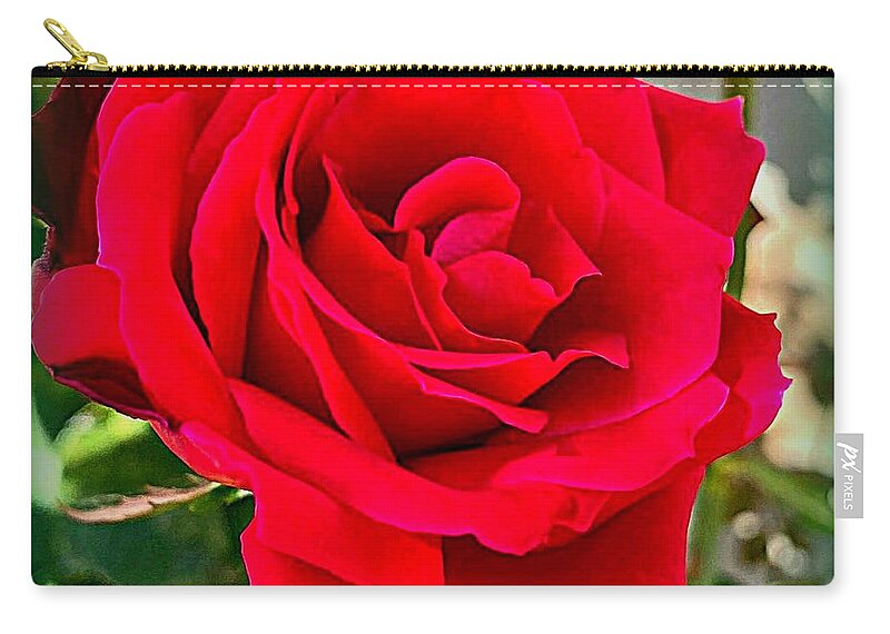 Macro Rose Zip Pouch featuring the photograph Anniversary Rose by VIVA Anderson