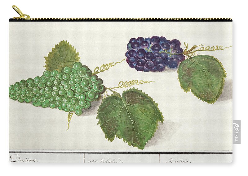 Antique Grapes Zip Pouch featuring the mixed media Antique Grapes by World Art Collective
