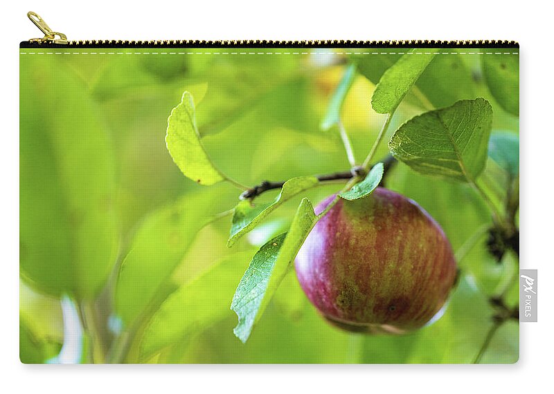 Nature Zip Pouch featuring the photograph Apple Tree Fall 2020 by Amelia Pearn