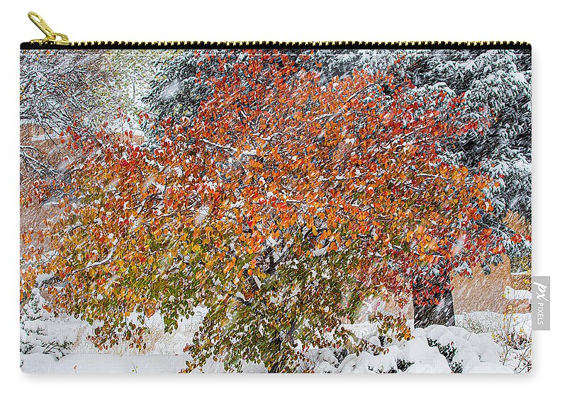 Taos Zip Pouch featuring the photograph Apricot Tree in a Winter Storm by Elijah Rael