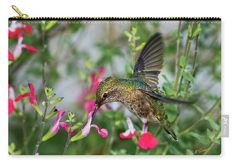 Hummingbird Zip Pouch featuring the photograph Armor Plated by Dan McGeorge