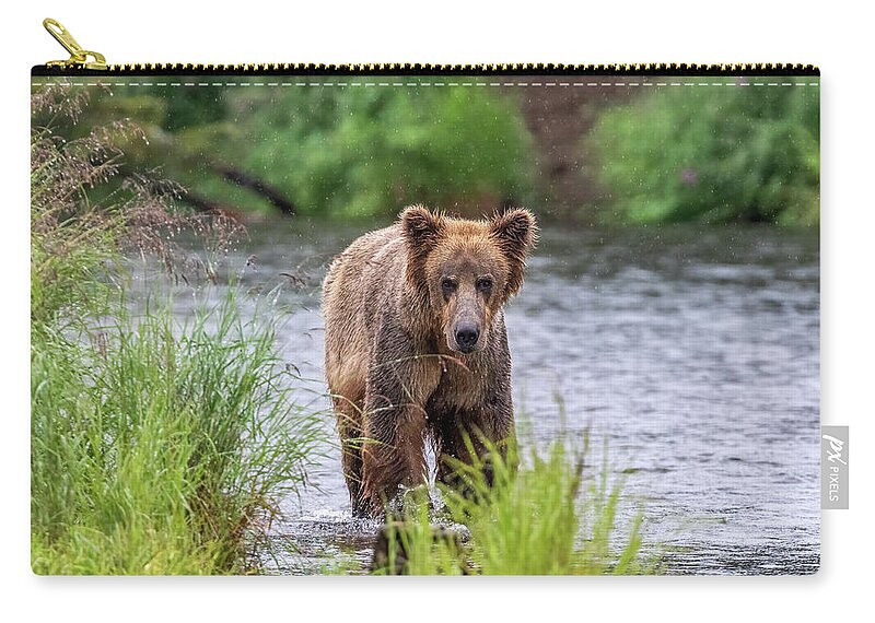 Bear Zip Pouch featuring the photograph Around the Corner by Randy Robbins