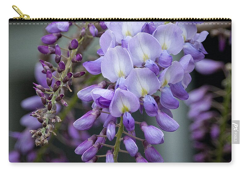 Wisteria Zip Pouch featuring the photograph Arresting Beauty by Linda Bonaccorsi