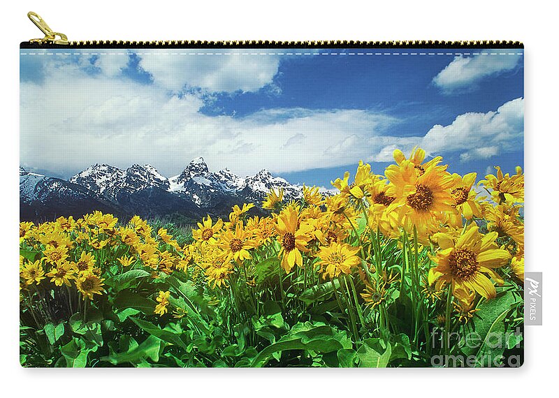 Dave Welling Carry-all Pouch featuring the photograph Arrowleaf Balsamroot Grand Tetons National Park Wyoming by Dave Welling