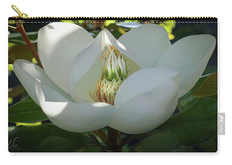 Majestic Zip Pouch featuring the photograph Majestic Magnolia Opening by D Lee