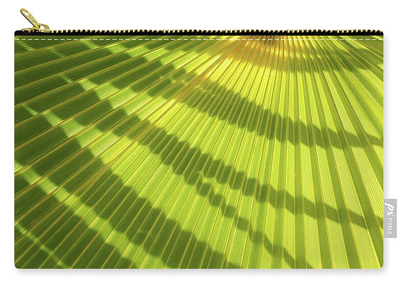 Palm Leaf Zip Pouch featuring the photograph Green palm leaf and shadows 1 by Adriana Mueller