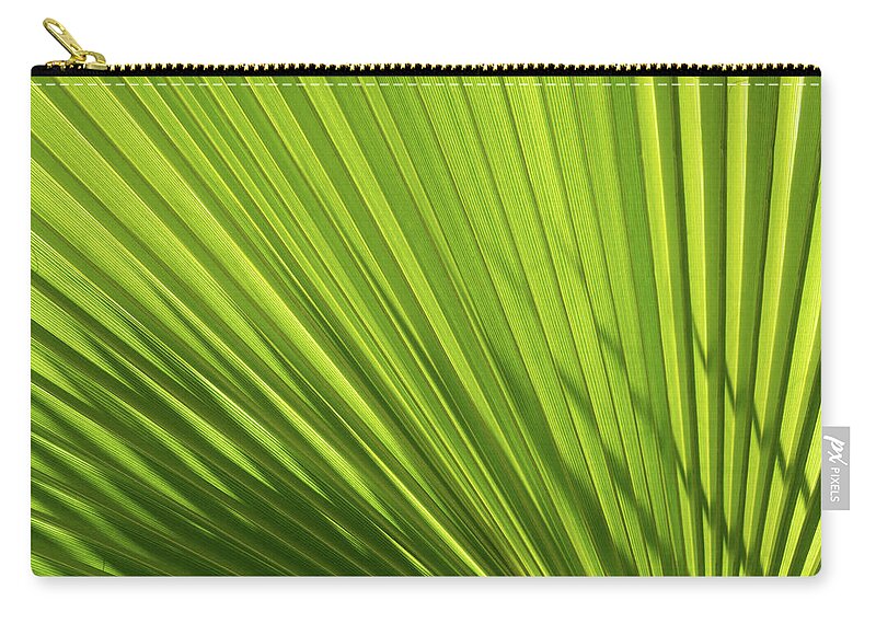 Palm Leaf Zip Pouch featuring the photograph Palm leaf with light and shadow 1 by Adriana Mueller