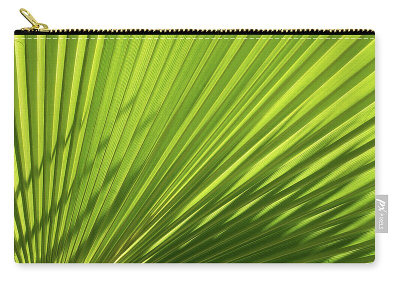 Palm Leaf Zip Pouch featuring the photograph Palm leaf with light and shadow 2 by Adriana Mueller