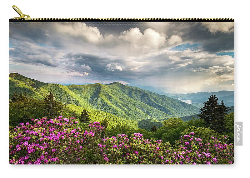North Carolina Zip Pouch featuring the photograph Asheville NC Blue Ridge Parkway Spring Flowers by Dave Allen