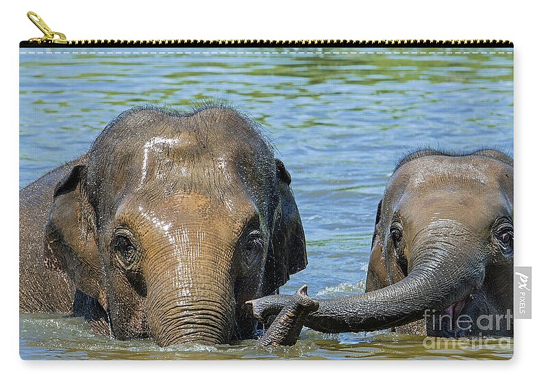 Asian Elephant Zip Pouch featuring the photograph Asian Elephant Mother with Calf in Lake by Arterra Picture Library