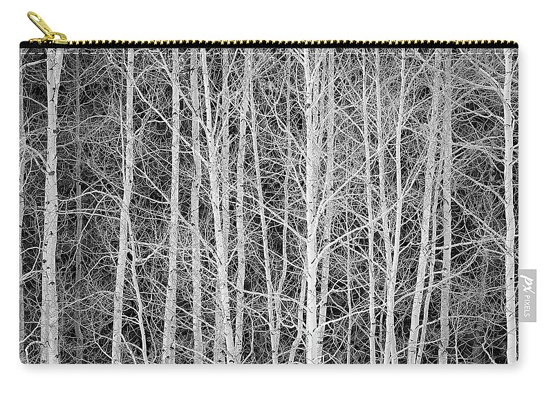 Aspen Zip Pouch featuring the photograph Aspen Forest Contrast by Denise Bush