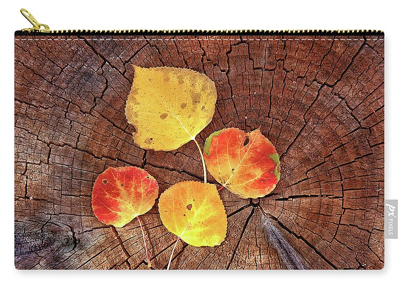 Colorado Zip Pouch featuring the photograph Aspen leaves on a log by Bob Falcone