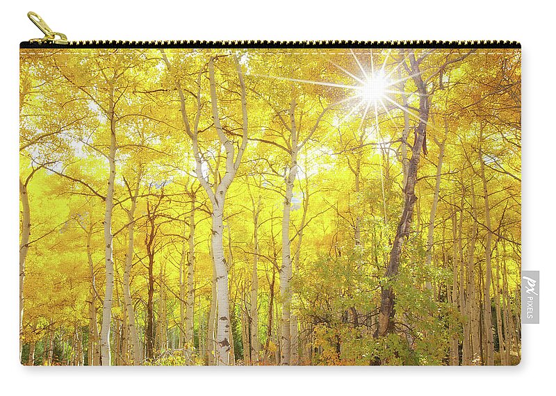 Aspens Zip Pouch featuring the photograph Aspen Morning by Darren White