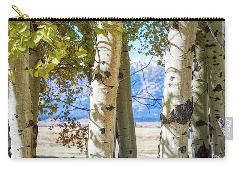 Forest Zip Pouch featuring the photograph Aspen trees by Paul Freidlund