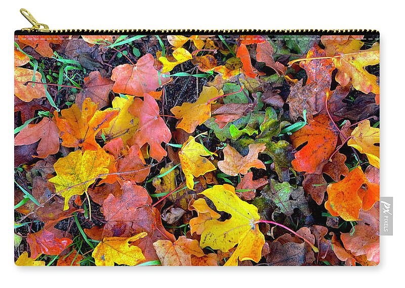 Fall Carry-all Pouch featuring the photograph At the Feet of Fall by Maya Mey Aroyo