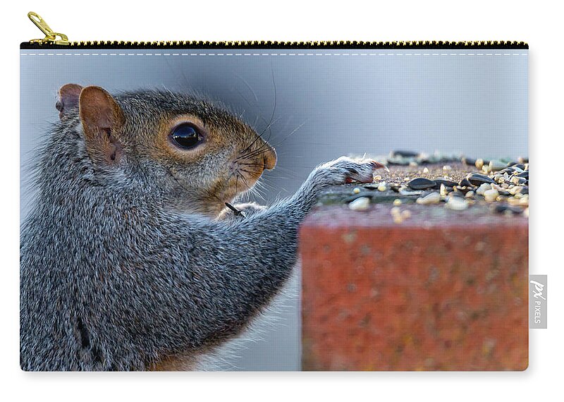Wildlife Zip Pouch featuring the photograph At the Table by William Bretton