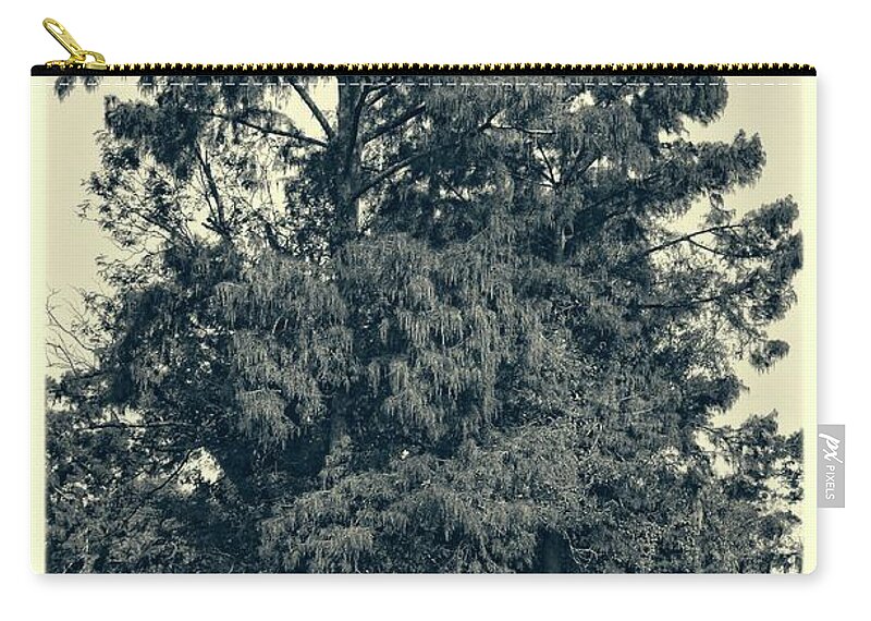 Tree Zip Pouch featuring the photograph Atchafalaya Basin Southern Louisiana 2021 Ambrotype 93 by Maggy Marsh