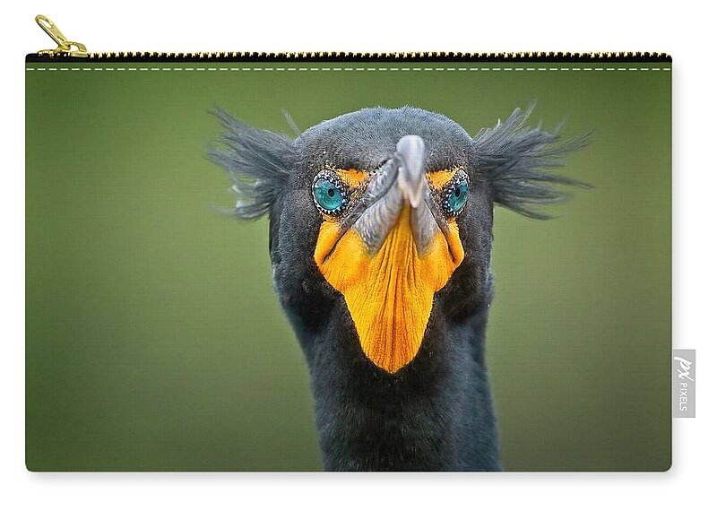 Wild Carry-all Pouch featuring the photograph Attitude by Steve DaPonte