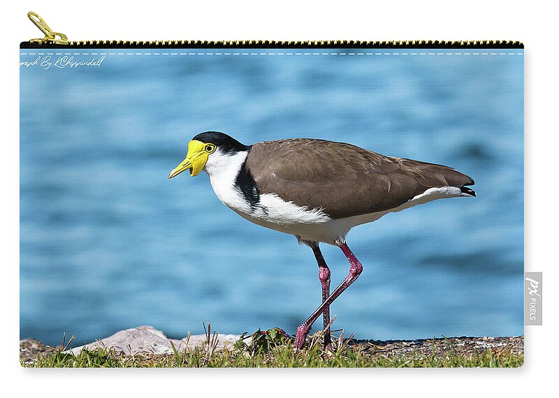Australian Plover Carry-all Pouch featuring the digital art Australian plover 893 by Kevin Chippindall