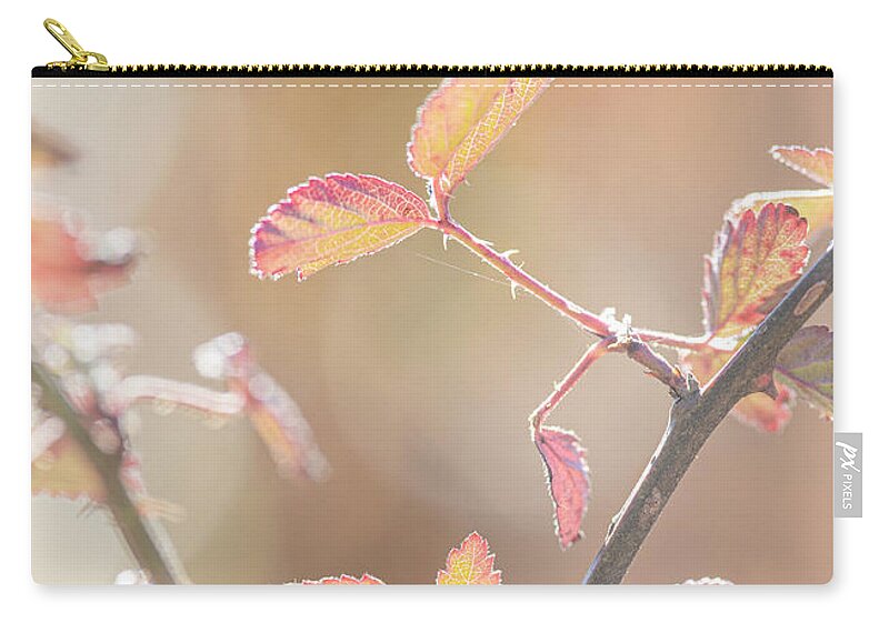 Bramble Carry-all Pouch featuring the photograph Autumn Bramble Leaves by Karen Rispin