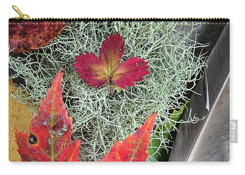 Feather Zip Pouch featuring the photograph Autumn Collage by Norman Reid