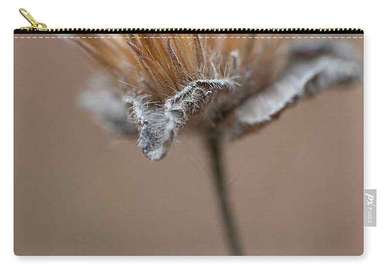 Autumn Carry-all Pouch featuring the photograph Autumn Dried Flower by Karen Rispin