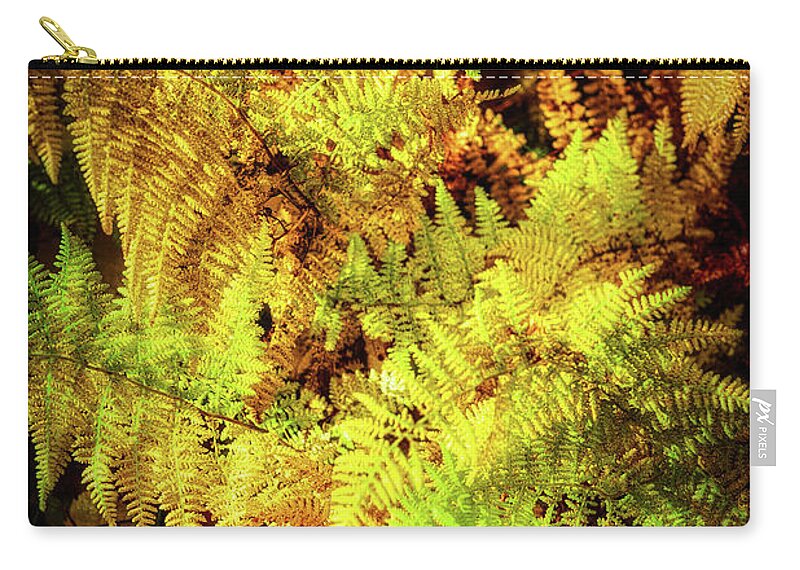 Fall Zip Pouch featuring the photograph Autumn Ferns Glowing in the Blue Ridge Sun by Dan Carmichael