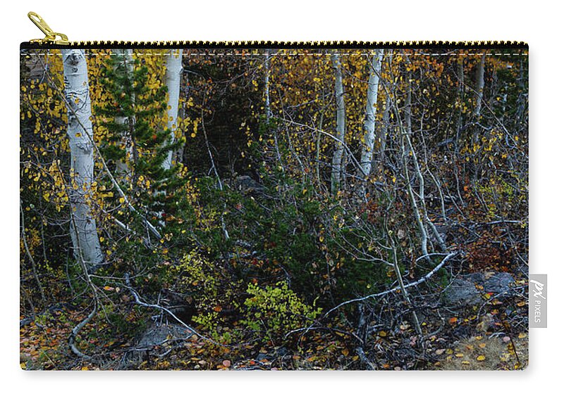 North America Zip Pouch featuring the photograph Autumn Foliage in the Sierras by Mark Miller