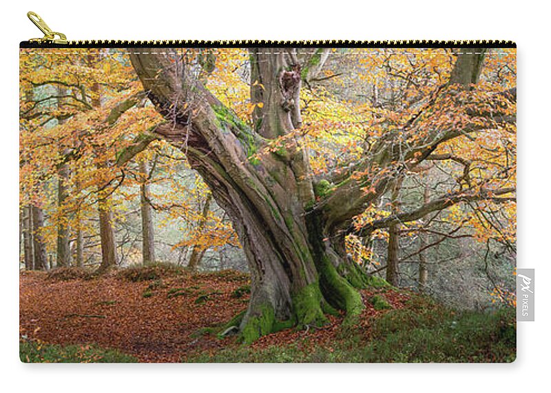 Autumn Carry-all Pouch featuring the photograph Monarch of the Forest by Anita Nicholson