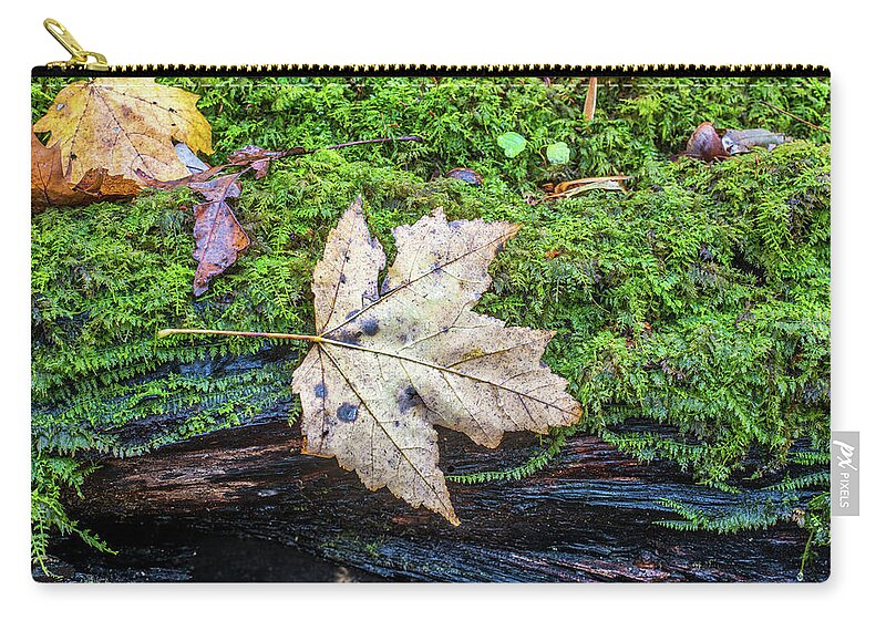 Appalachia Zip Pouch featuring the photograph Autumn in the Appalachains by Andy Crawford