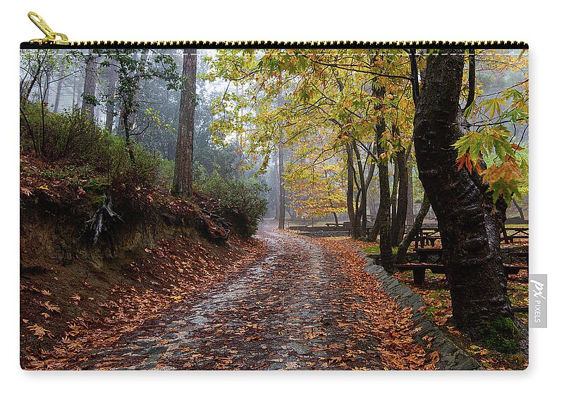 Autumn Carry-all Pouch featuring the photograph Autumn landscape with trees and Autumn leaves on the ground after rain by Michalakis Ppalis