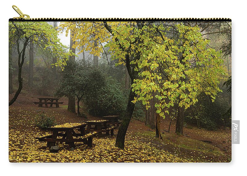 Autumn Zip Pouch featuring the photograph Autumn landscape with trees and yellow leaves on the ground after rain by Michalakis Ppalis