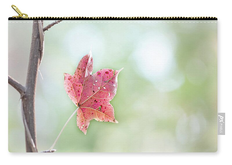 Fall Carry-all Pouch featuring the photograph Autumn Leaf by Karen Rispin