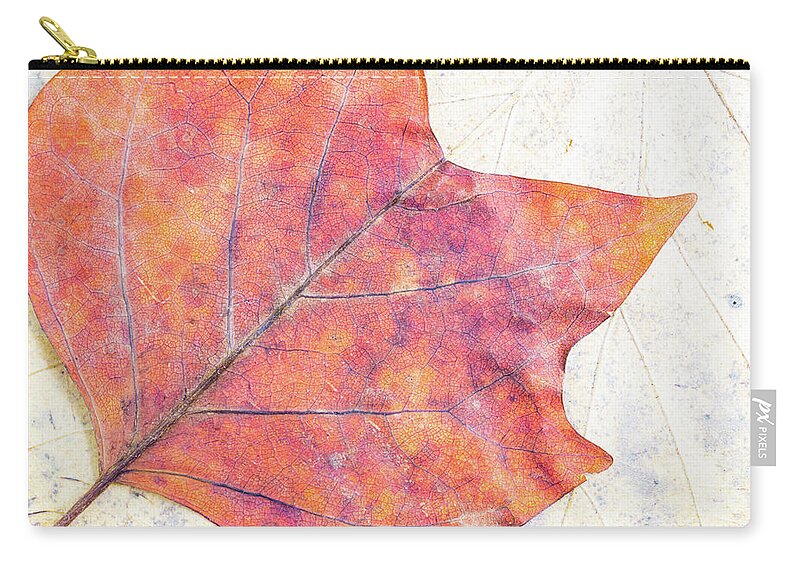 Autumn Carry-all Pouch featuring the photograph Autumn leaves composition by Viktor Wallon-Hars