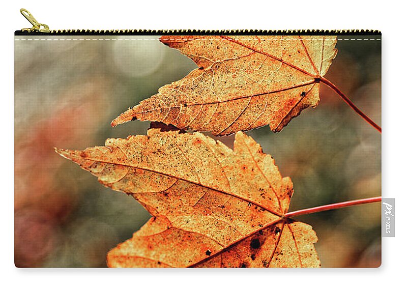 Autumn Leaves Duo Zip Pouch featuring the photograph Autumn Leaves Duo by Doolittle Photography and Art