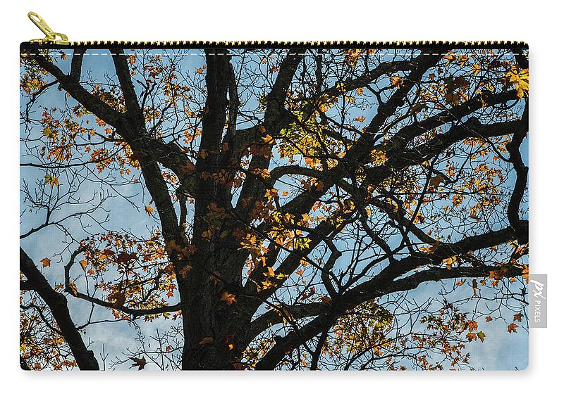 Abstract Zip Pouch featuring the photograph Autumn Leaves V Color by David Gordon