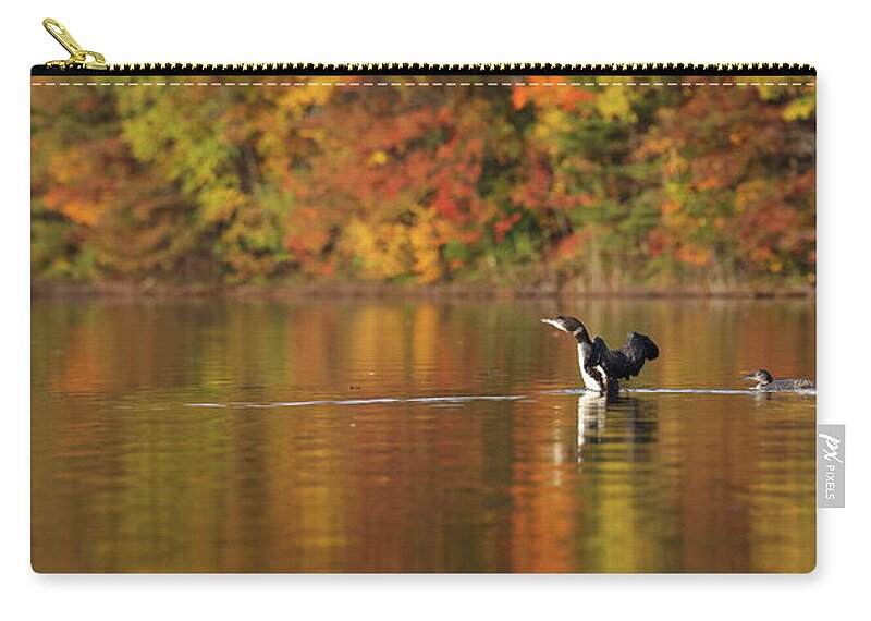 Autumn Zip Pouch featuring the photograph Autumn Loons PANO by Brook Burling