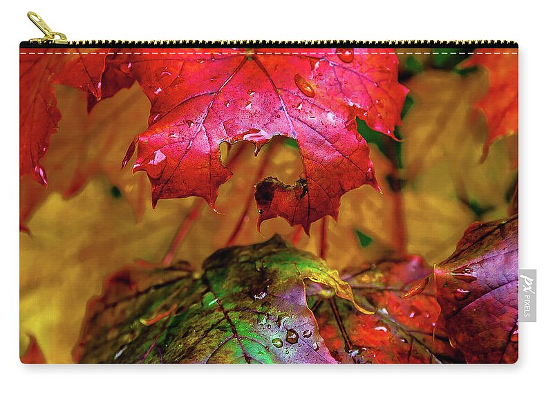 Autumn Rain Zip Pouch featuring the photograph Autumn Rain by David Patterson