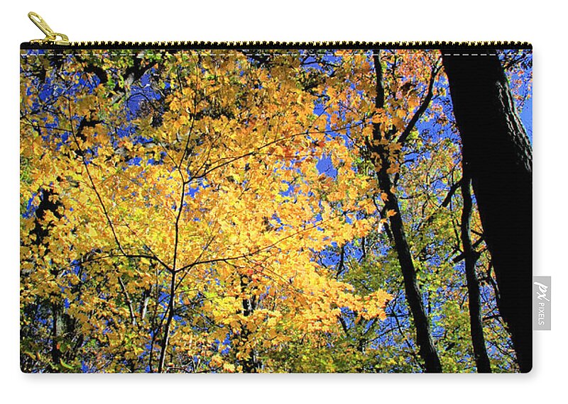 Autumn Carry-all Pouch featuring the photograph Autumn Splendor by Steve Ember