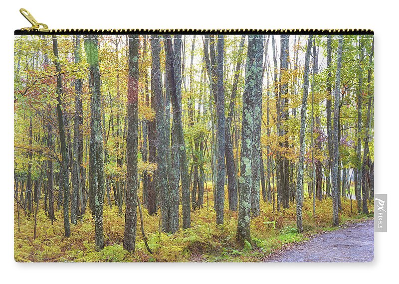 Activities Zip Pouch featuring the photograph Autumn Stroll by Jamart Photography