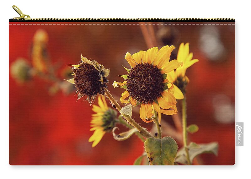 Autumn Zip Pouch featuring the photograph Autumn Sunflowers by Toni Hopper