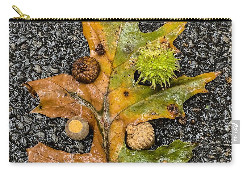 Oak Leaf Zip Pouch featuring the photograph Autumn Tree by Cate Franklyn