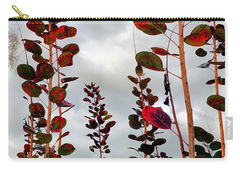 Smoke Tree Carry-all Pouch featuring the photograph Autumnal No. 1 - Smoke Tree with Frontal Passage Sky by Steve Ember