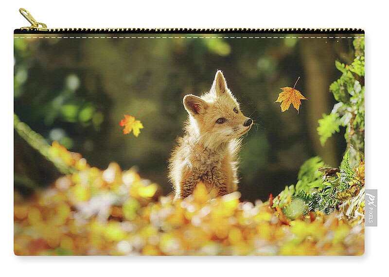 Fall Zip Pouch featuring the photograph Autumn's Arrival by Carrie Ann Grippo-Pike