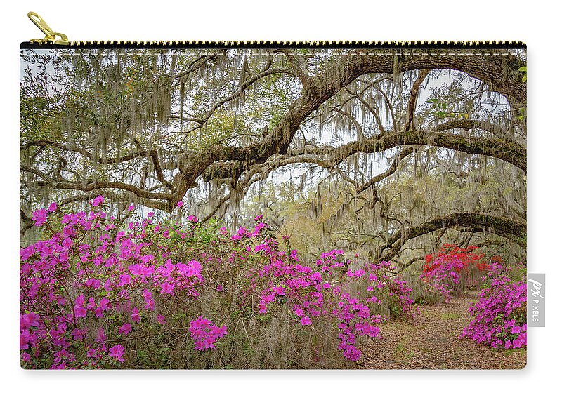 Flowers Zip Pouch featuring the photograph Avenue of Oaks in Spring by Cindy Robinson