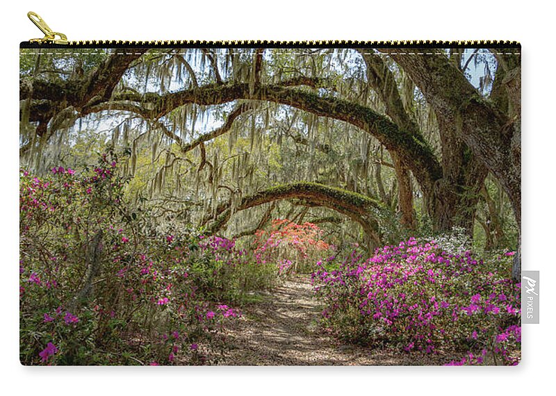 Architecture Zip Pouch featuring the photograph Avenue of the Oaks 2 by Cindy Robinson
