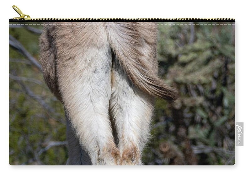 Wild Burros Zip Pouch featuring the photograph Baby Burro Butts Drive Me Nuts by Mary Hone