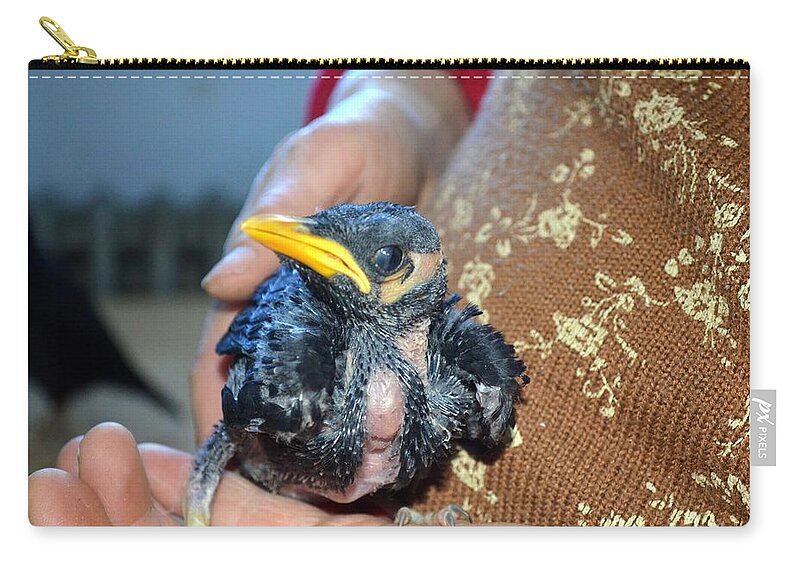 Baby Mynah Bird Carry-all Pouch by Les Classics - Fine Art America